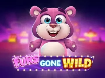 Spinanga Casino screenshot